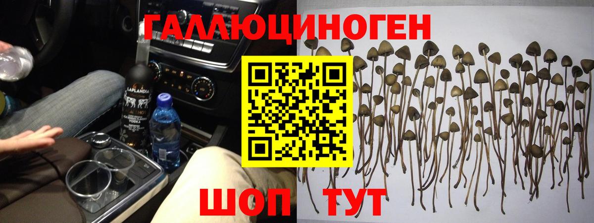 Псилоцибиновые грибы GOLDEN TEACHER Большой Камень