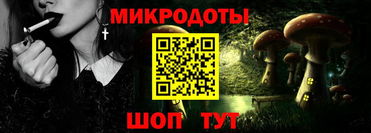 Большой Камень  Псилоцибиновые грибы Psilocybe  Вход с VPN 